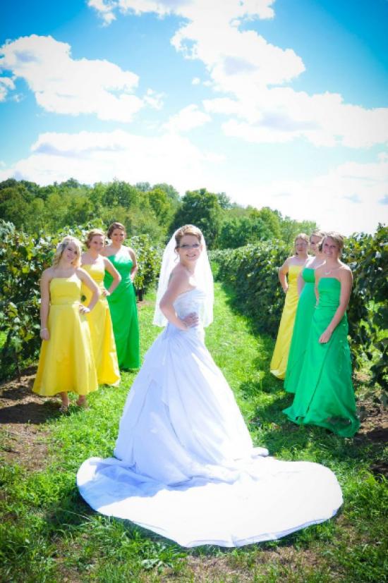 bride-in-vineyard